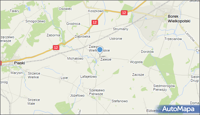 mapa Zalesie, Zalesie gmina Borek Wielkopolski na mapie Targeo